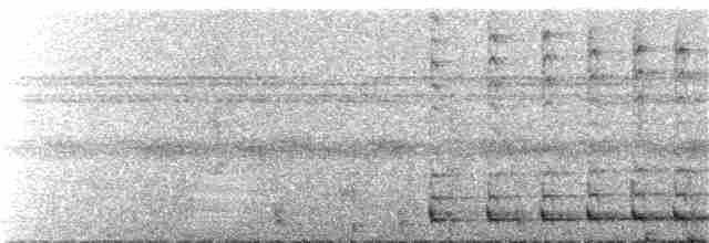 Mérulaxe de Stresemann - ML227949811