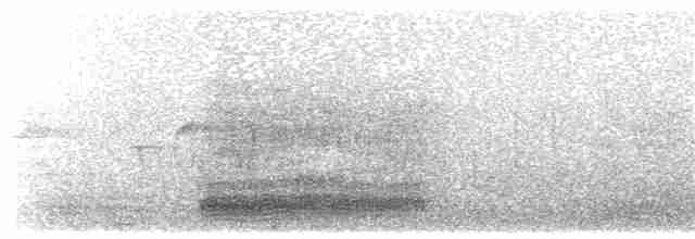 volavka stříbřitá (ssp. garzetta) - ML228011661