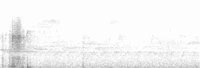 Cerulean Warbler - ML228044251