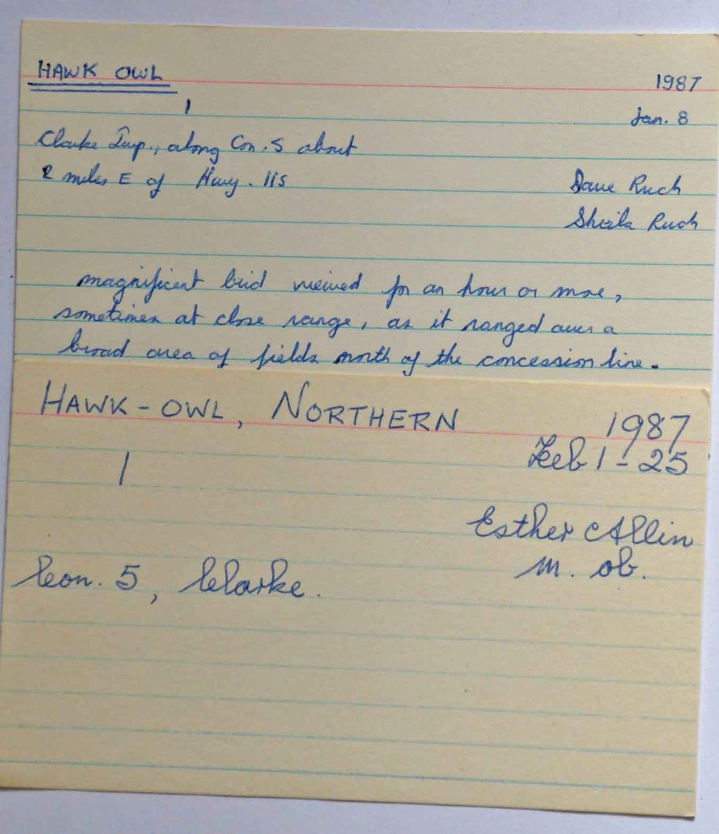 Northern Hawk Owl - Durham Region Field Naturalist Data