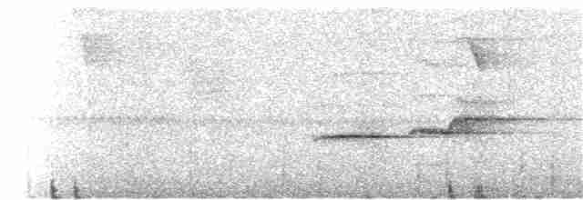 Дрізд-короткодзьоб сірий - ML228217101