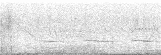 Brushland Tinamou - ML228294361