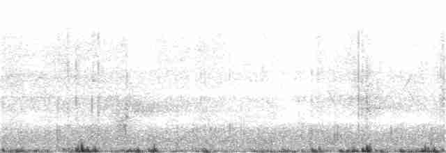 Cerulean Warbler - ML228309701