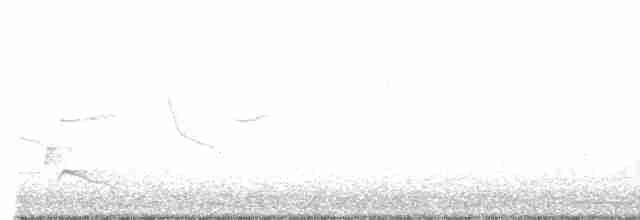 Prairie Warbler - ML228315331