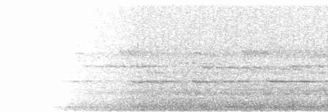 Small-billed Tinamou - ML228343