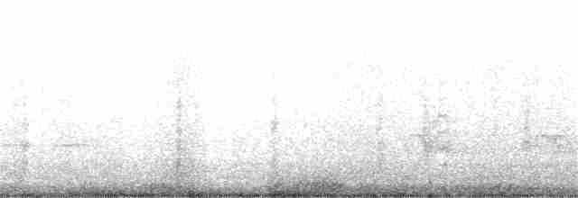 Weißbrustkleiber - ML228374021