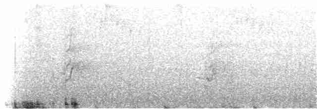 Амазон-карлик чорнокрилий - ML228423241