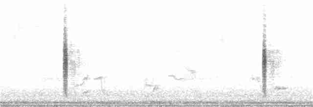 vlhovec červenokřídlý [skupina phoeniceus] - ML228447961