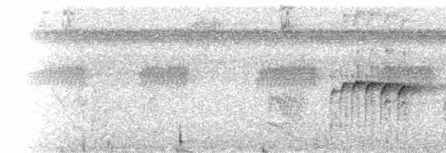 Лінивка-строкатка маскова (підвид tectus/picatus) - ML228459