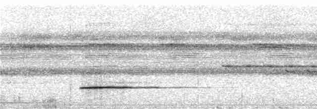 Tinamou de Bartlett - ML228463