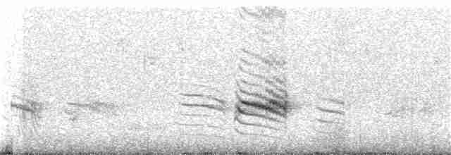 Пестрогорлая юхина - ML228477361
