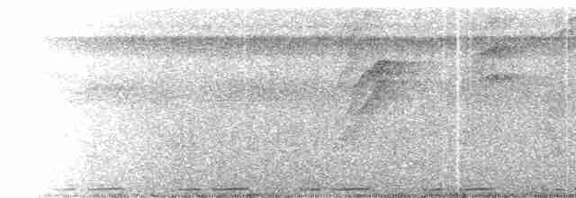 Blue-gray Tanager (White-edged) - ML228495