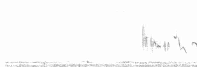 Western Black-eared Wheatear - ML228514191