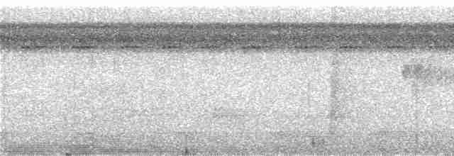 Rotspiegel-Ameisenvogel - ML228571