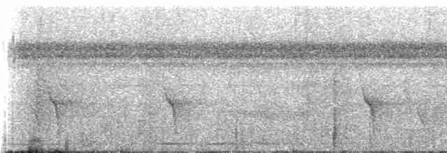 Gelbbrust-Ameisenfänger - ML228596