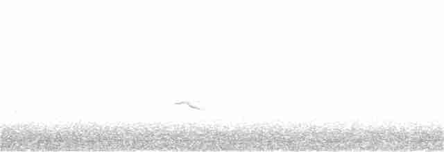 Green-winged Teal (Eurasian) - ML228602731