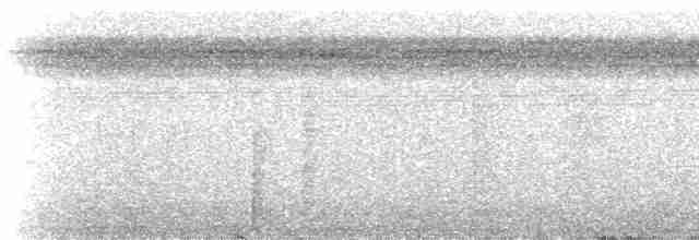 Rotspiegel-Ameisenvogel - ML228612
