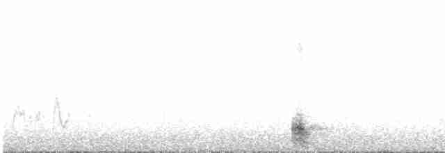 Plush-crested Jay - ML228736591
