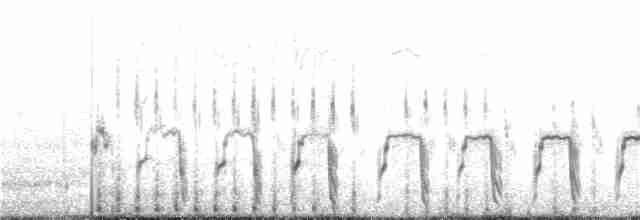 Ornate Tinamou - ML228741211