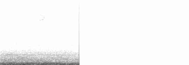Sperlingsvogel, unbestimmt - ML228782521