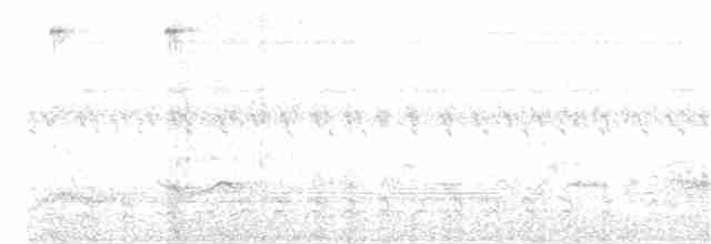 Thicket Tinamou - ML228791471