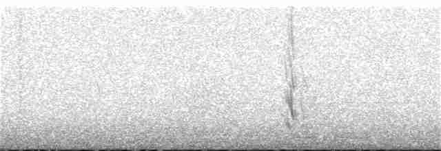 Boz Karınlı Kırlangıç - ML228812061