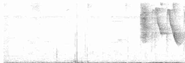 Kuzeyli Kara Yüzlü Kocabaş - ML228820571