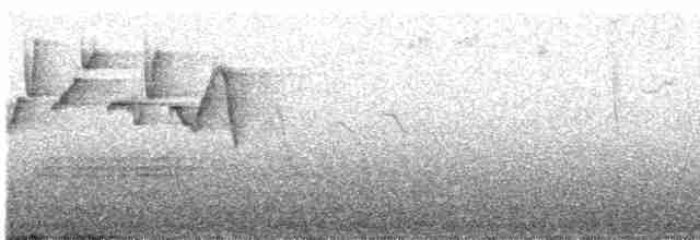 Gray-hooded Warbler - ML228844821