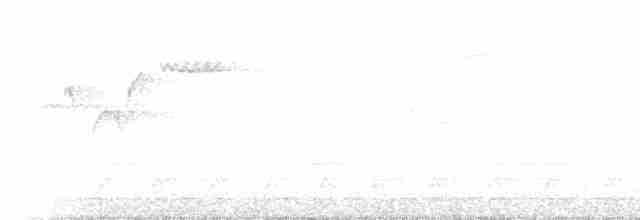 Тихоокеанский крапивник - ML228870