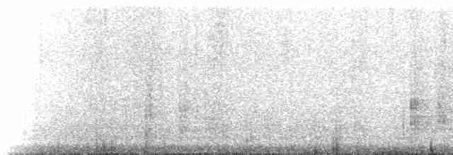 Краснохвостый канюк (fumosus) - ML228963