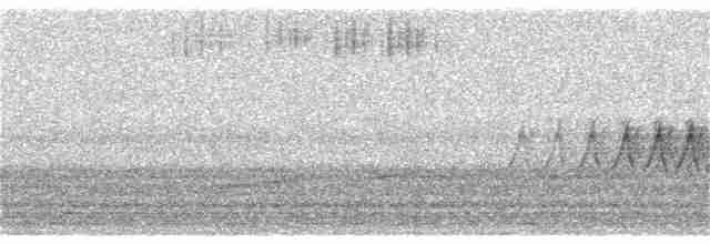 Kara Gözlü Junko (hyemalis/carolinensis) - ML228999851