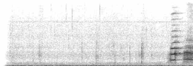 Common Gallinule (American) - ML229139