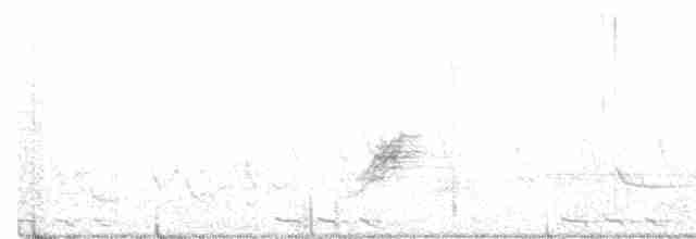 Black-billed Cuckoo - ML229140741
