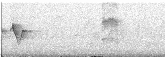 Eastern Crowned Warbler - ML229176341