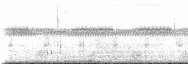Глазчатая кряква (fulvigula) - ML229186