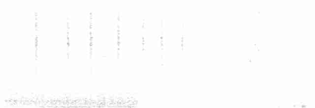 pěnice bělohrdlá - ML229209001