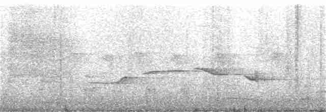 Black-naped Oriole (East Asian) - ML229258341