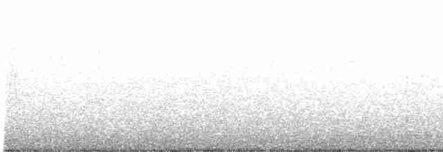 Pine Warbler - ML229286131