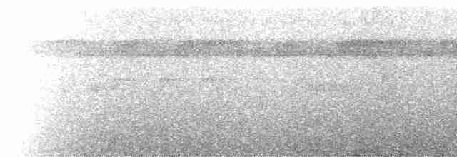 Kara Başlı Karıncakuşu (rufifrons/subcristata) - ML229319
