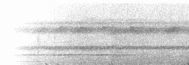 Kara Başlı Karıncakuşu (rufifrons/subcristata) - ML229326