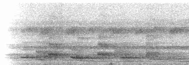 gråhalsrikse (cajaneus) - ML229327