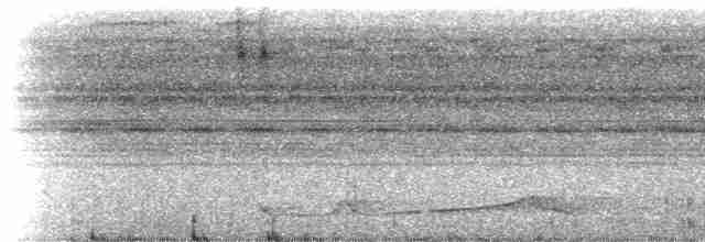 Silky-tailed Nightjar - ML229350