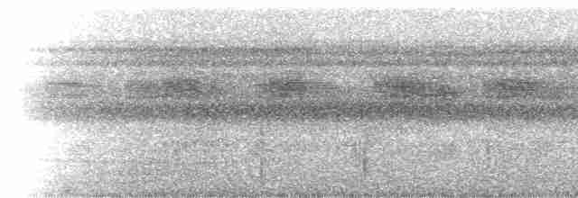 holub neotropický - ML229353