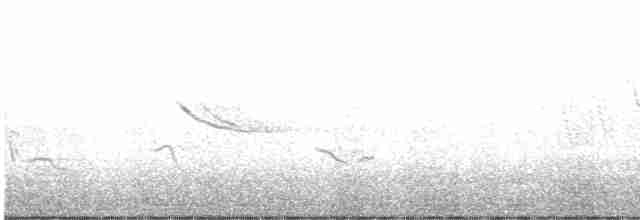 Common Yellowthroat - ML229402311