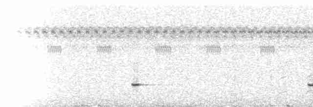Small-billed Tinamou - ML229408