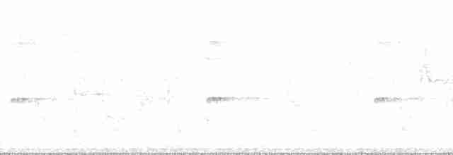 Желтоклювая сорока - ML22943