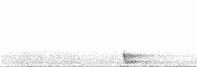 Large-tailed Nightjar - ML229540751