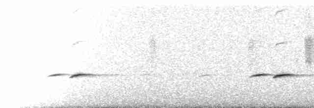 flekkdiamantfugl (punctatus) - ML229653