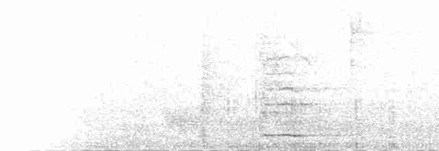 kakadu hnědohlavý - ML229669