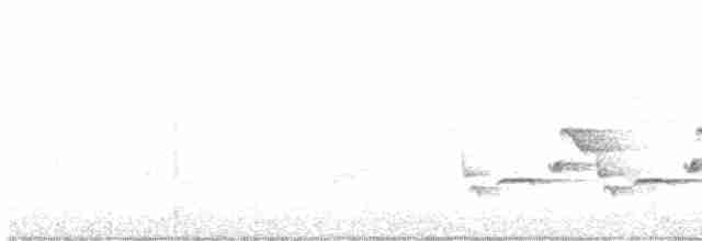 Black-billed Cuckoo - ML229725211